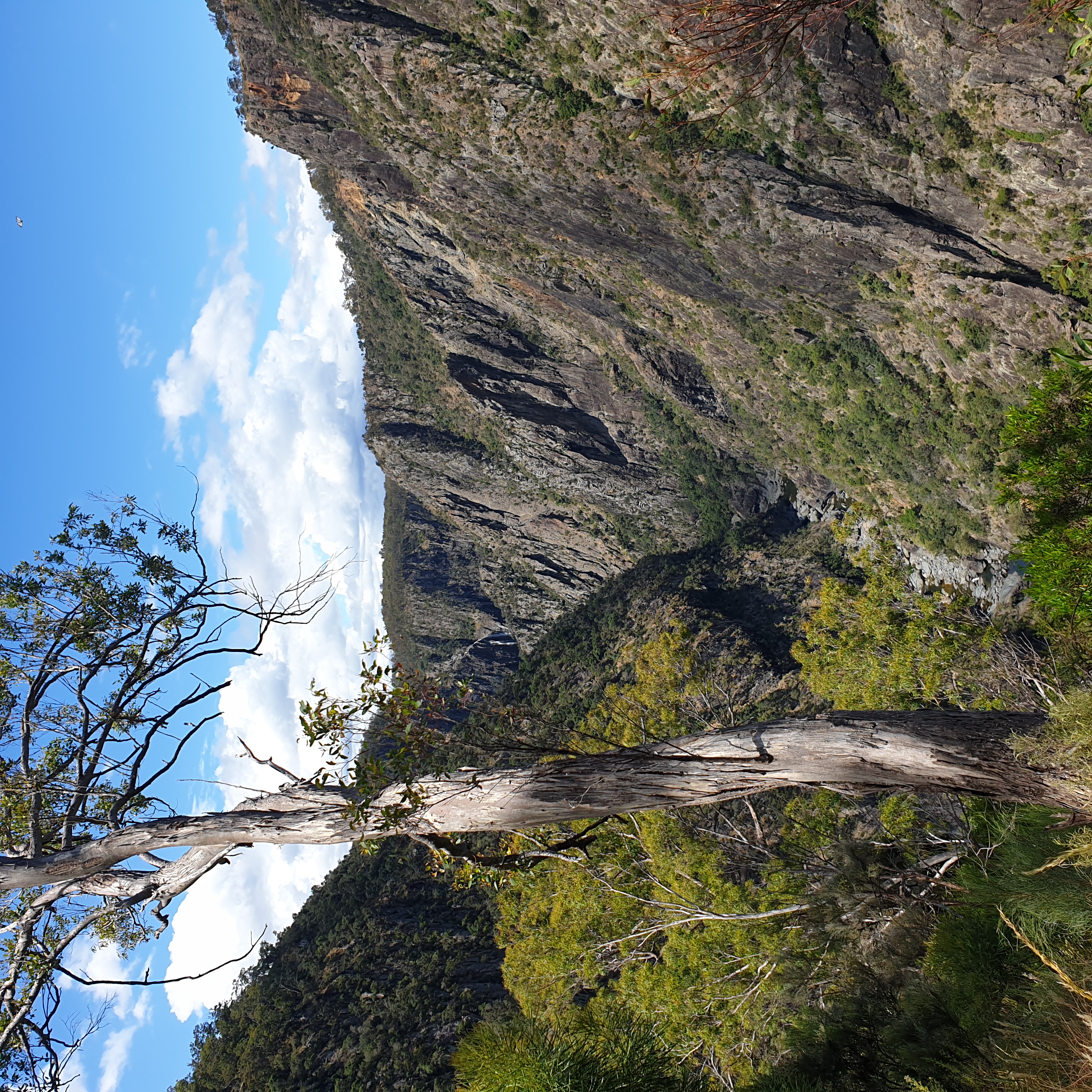 Chandler Gorge downstream of Wollomombi Falls