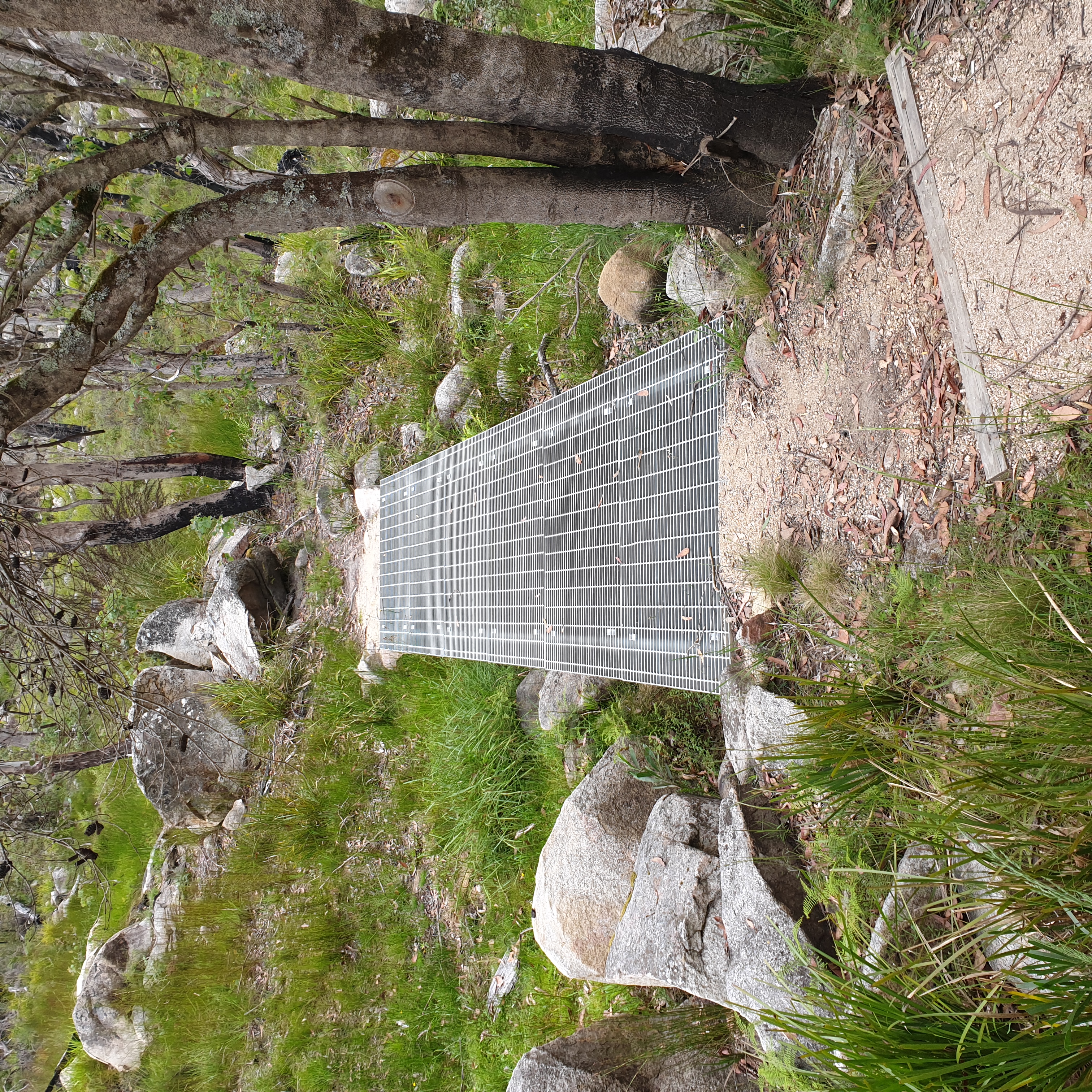 Footbridge overkill for a small runnel that you can step over