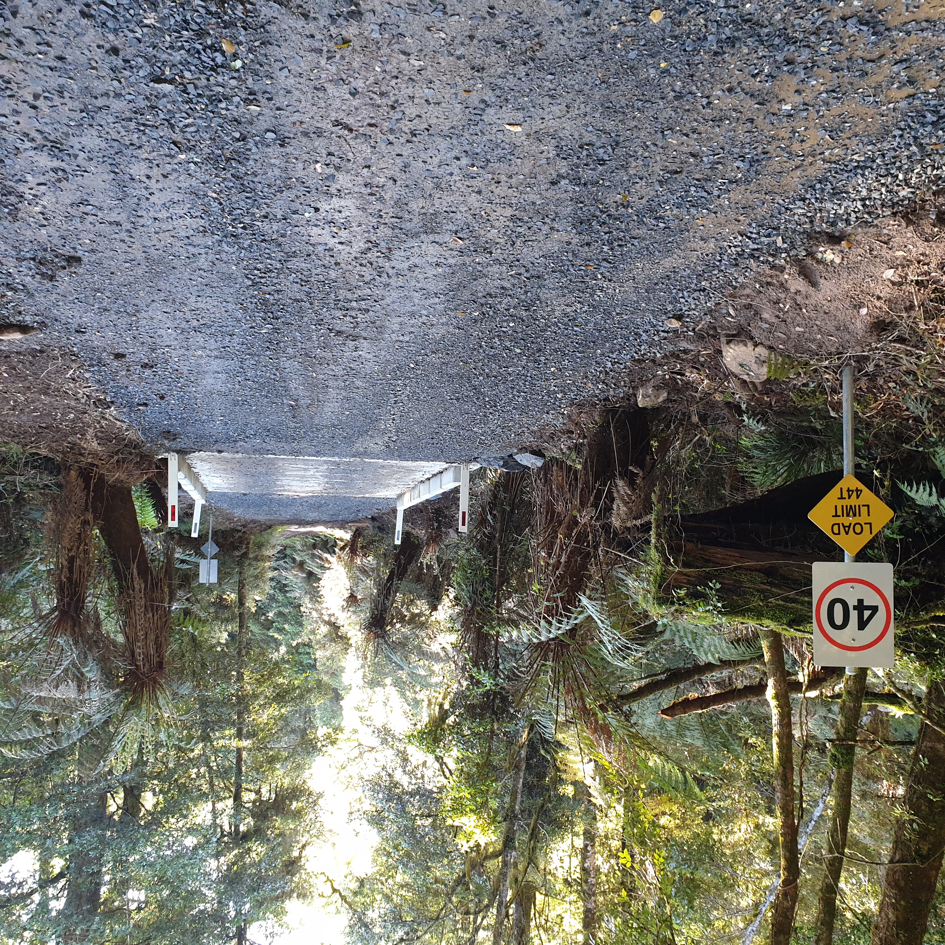 Pristine wilderness obliterated by newly blue metalled Robinson Knob Fire Road with concrete bridges, and also convenient for Chris Hemsworth's controversial visit