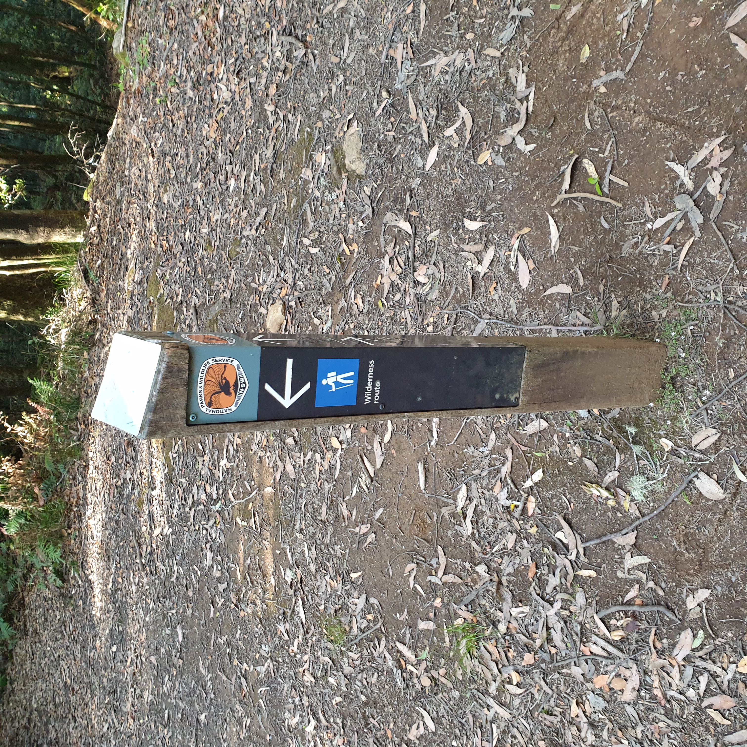 Wilderness Wallk on fire road with track marker overkill.