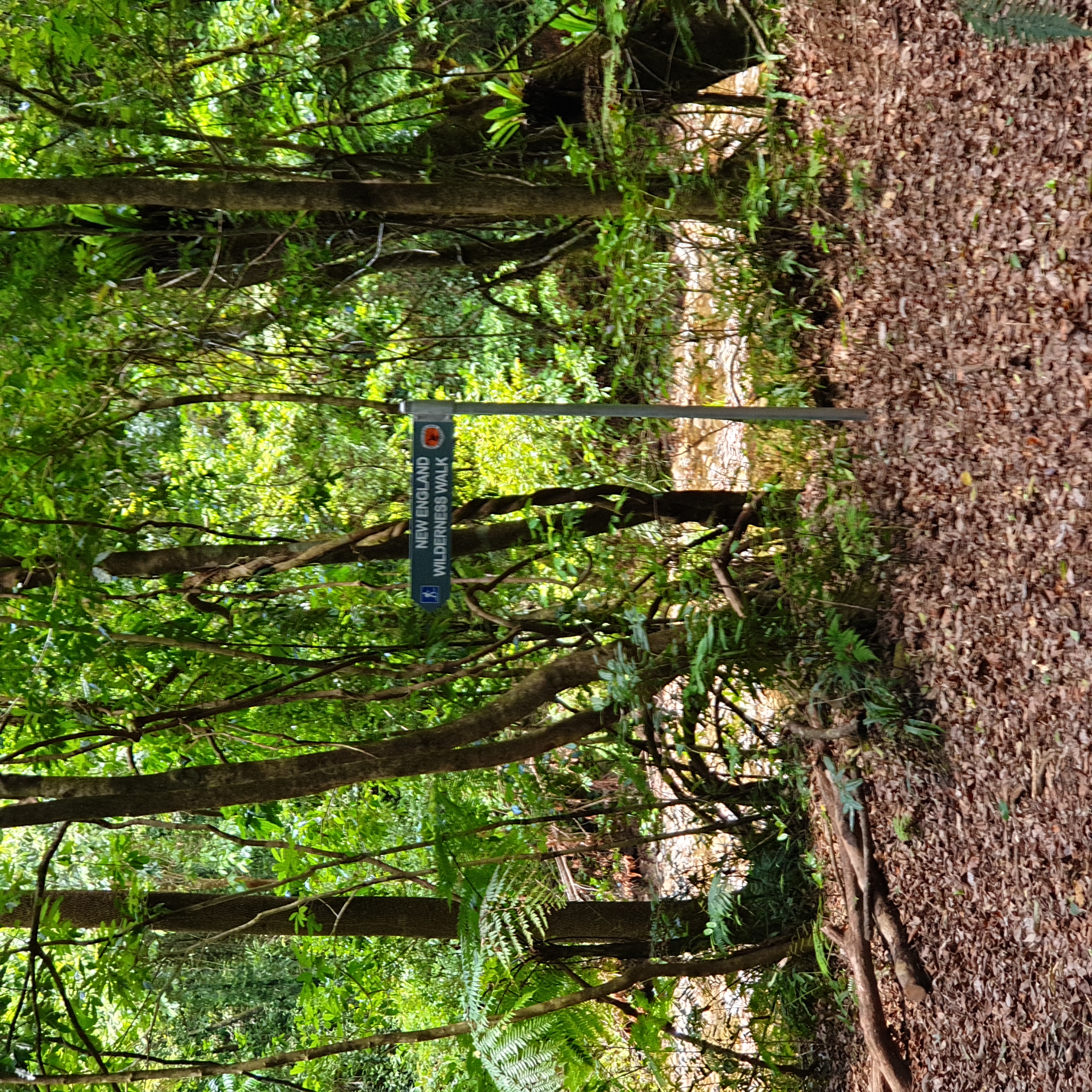 A street sign, named irritation - "that way down Sunday Creek" - would anyone go upstream?