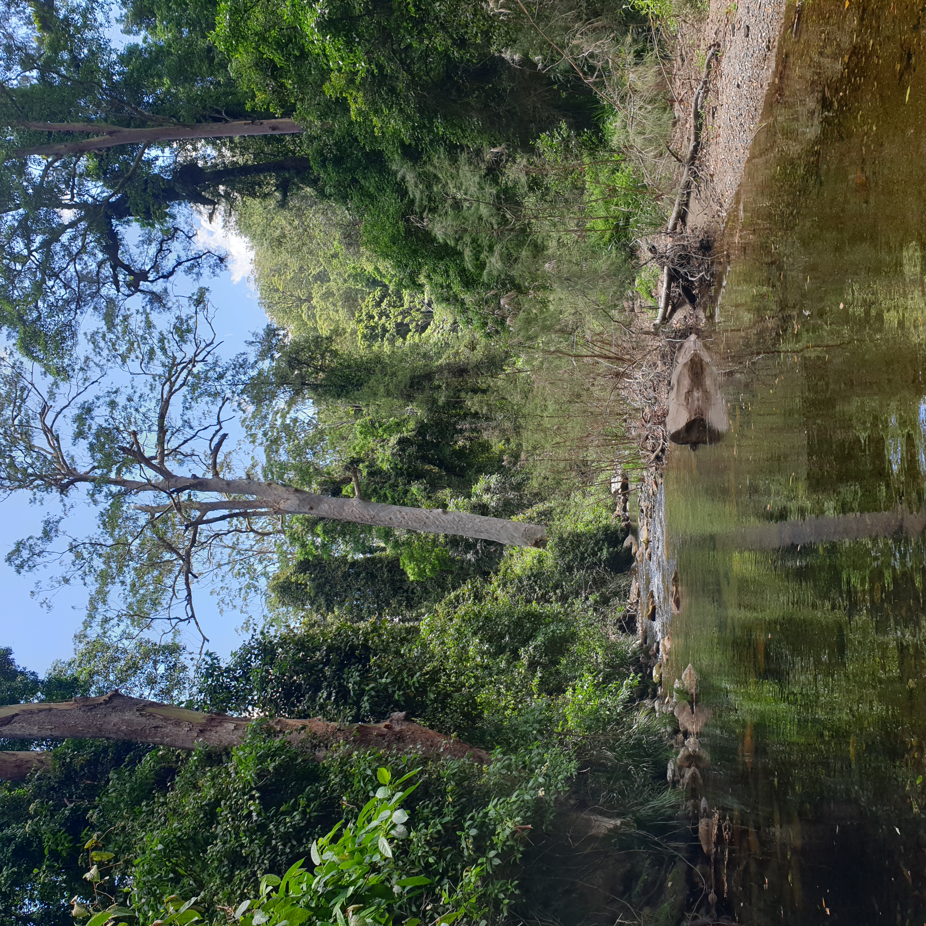 Sunday Creek is the pristine highlight of the New England Wilderness Walk