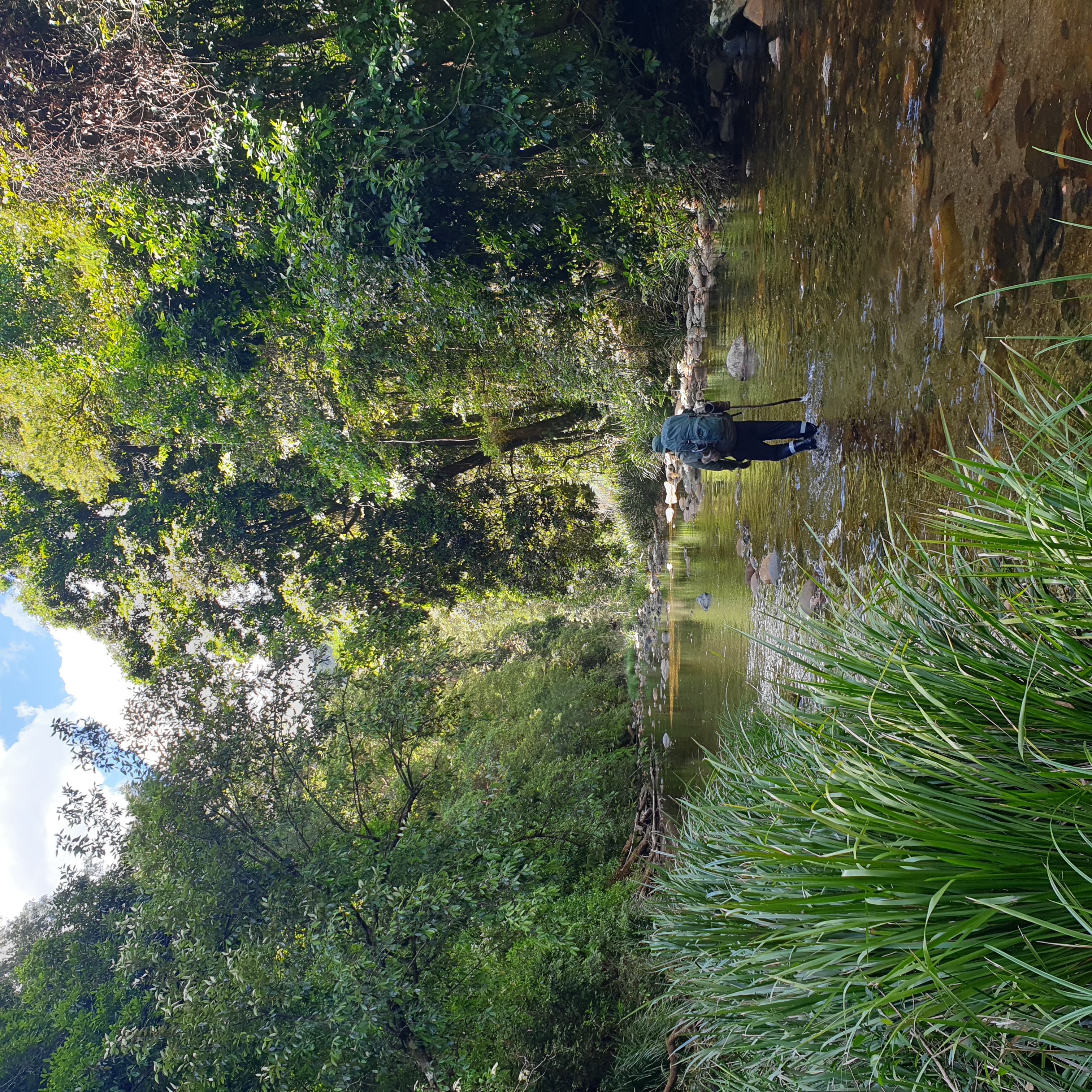 Stephen enjoys the incedibly diverse gallery forest that lines Sunday Creek