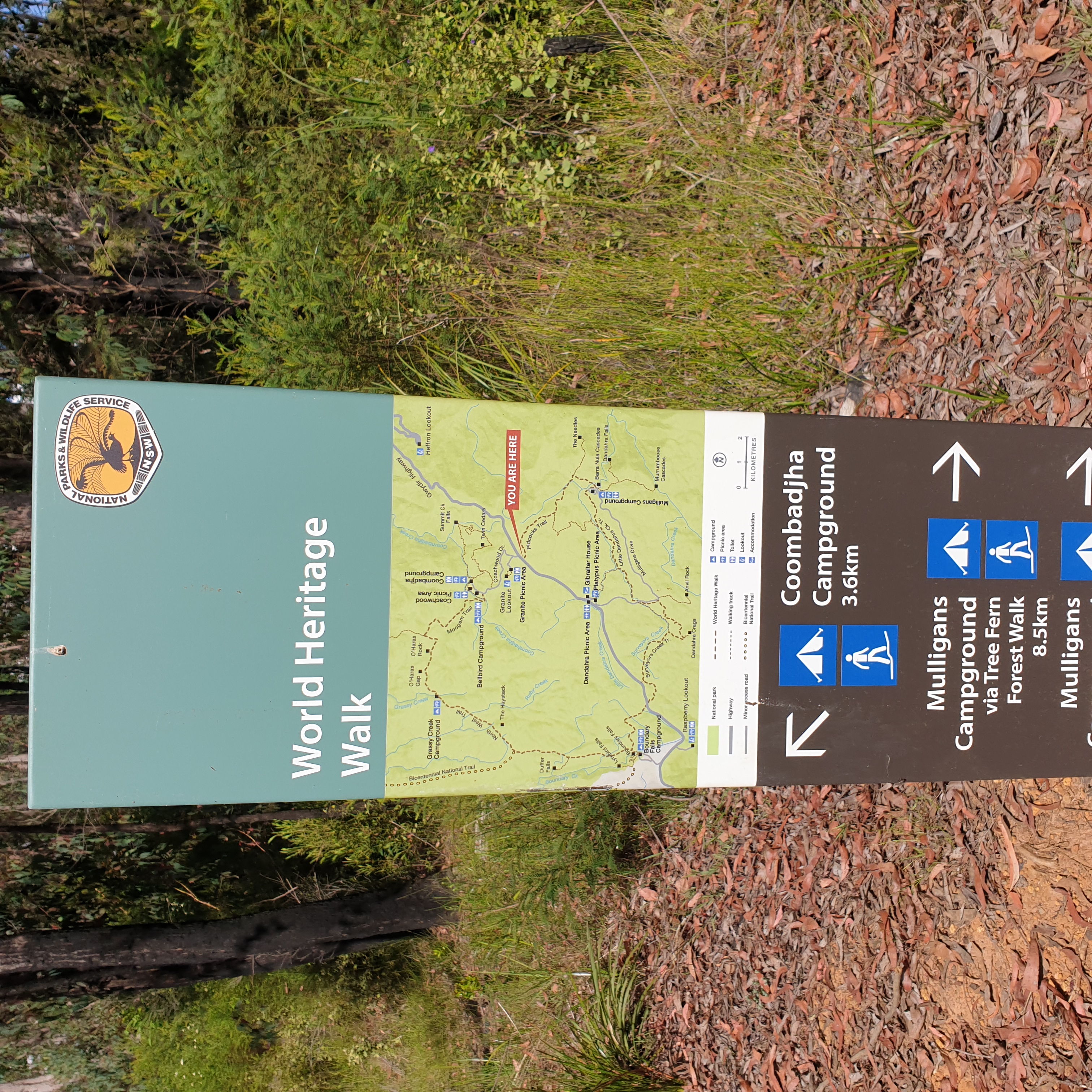 An excellent track head sign at the begining of Pidcocks Trail, Gibraltar Range NP