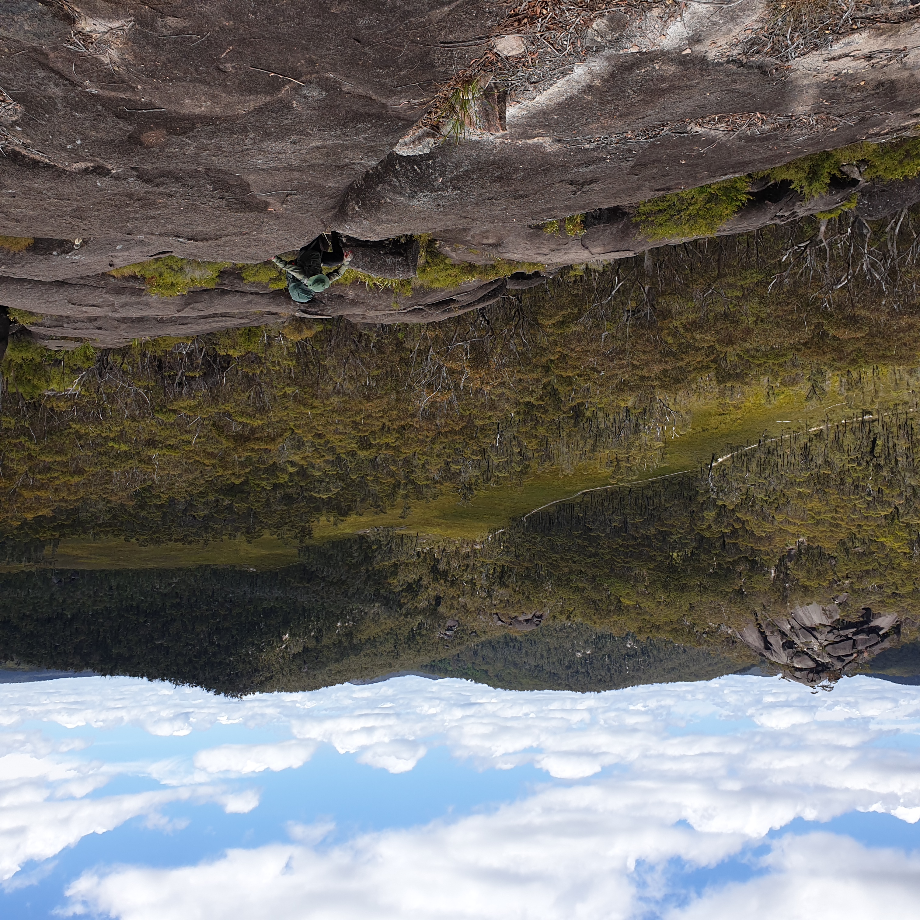 Stephen climbing on top of Dandara Crags with a view across the headwater swamp of Surveyors Creek