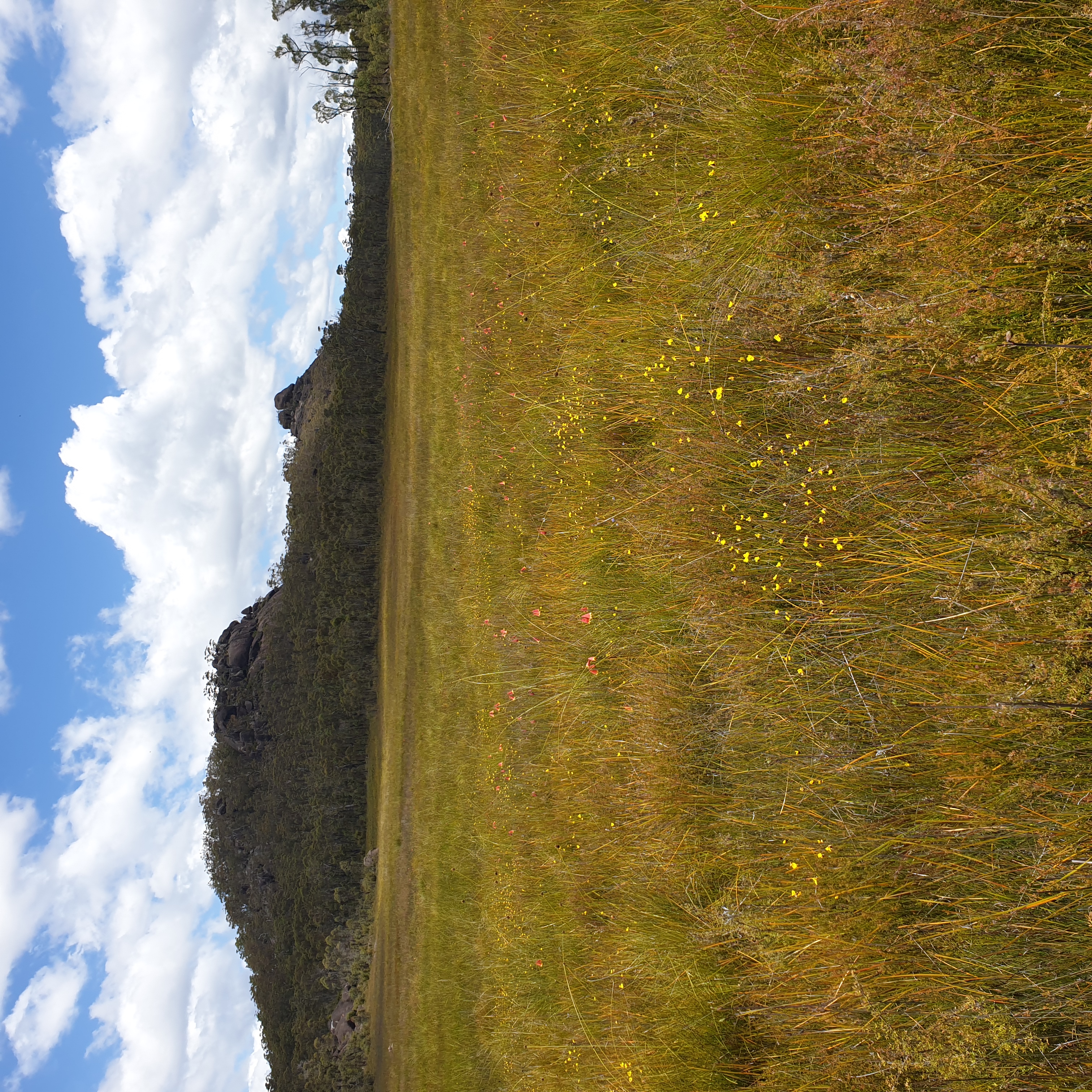 Looking back at the Dandahra Crags