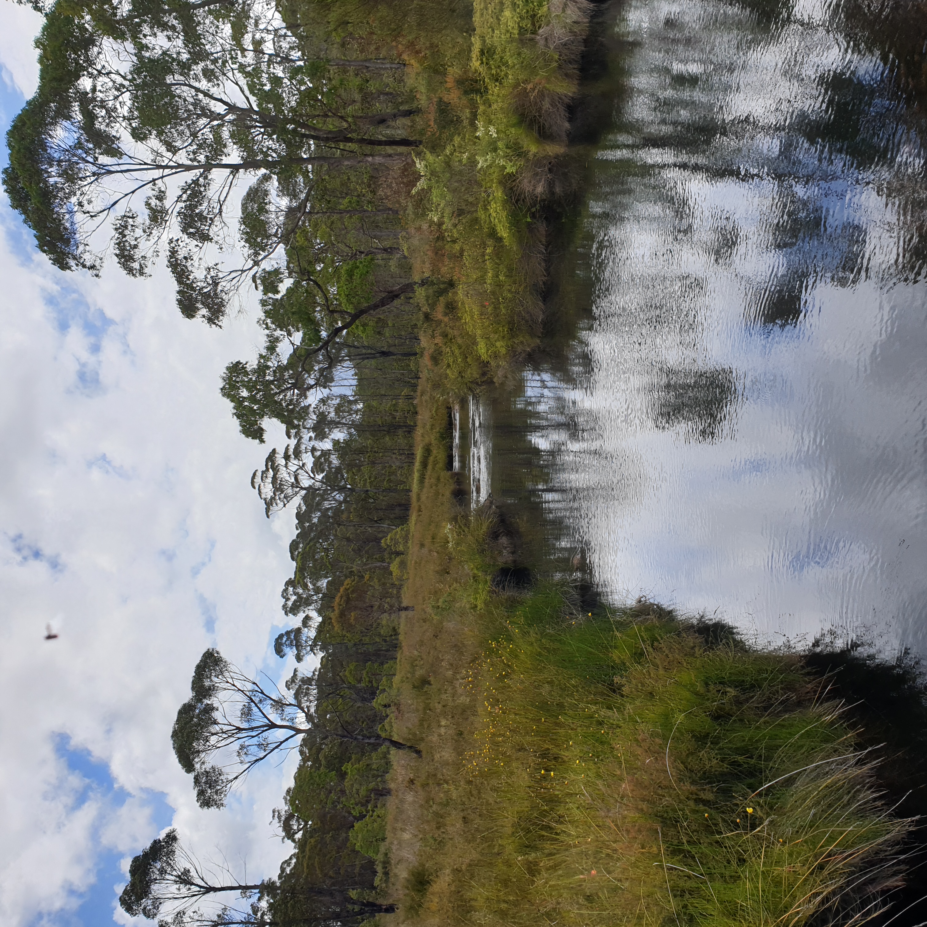 Heading up Little Dandahra Creek towards the Platypus Picnic Area