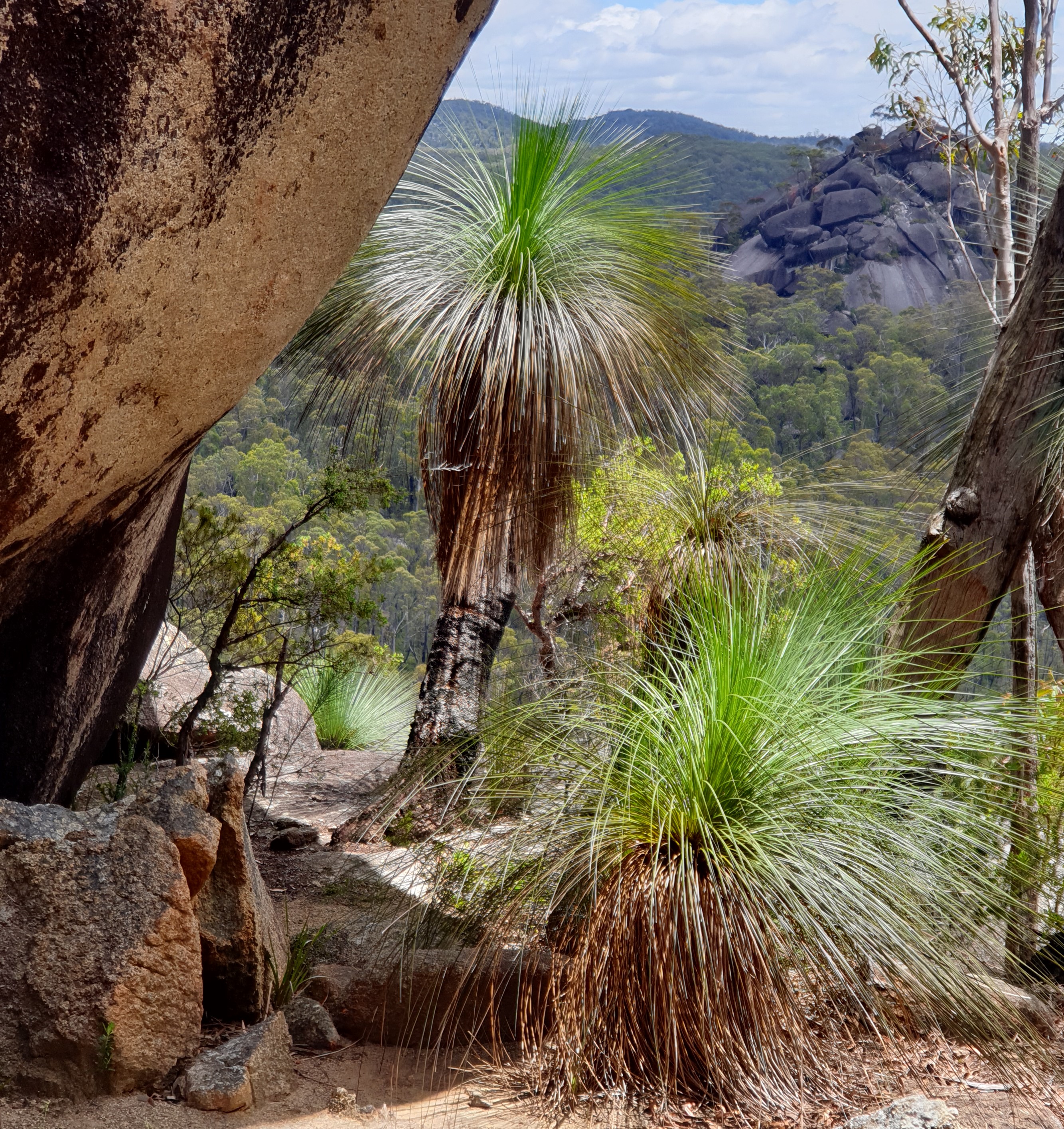 Dandahra Crags are worth exploring