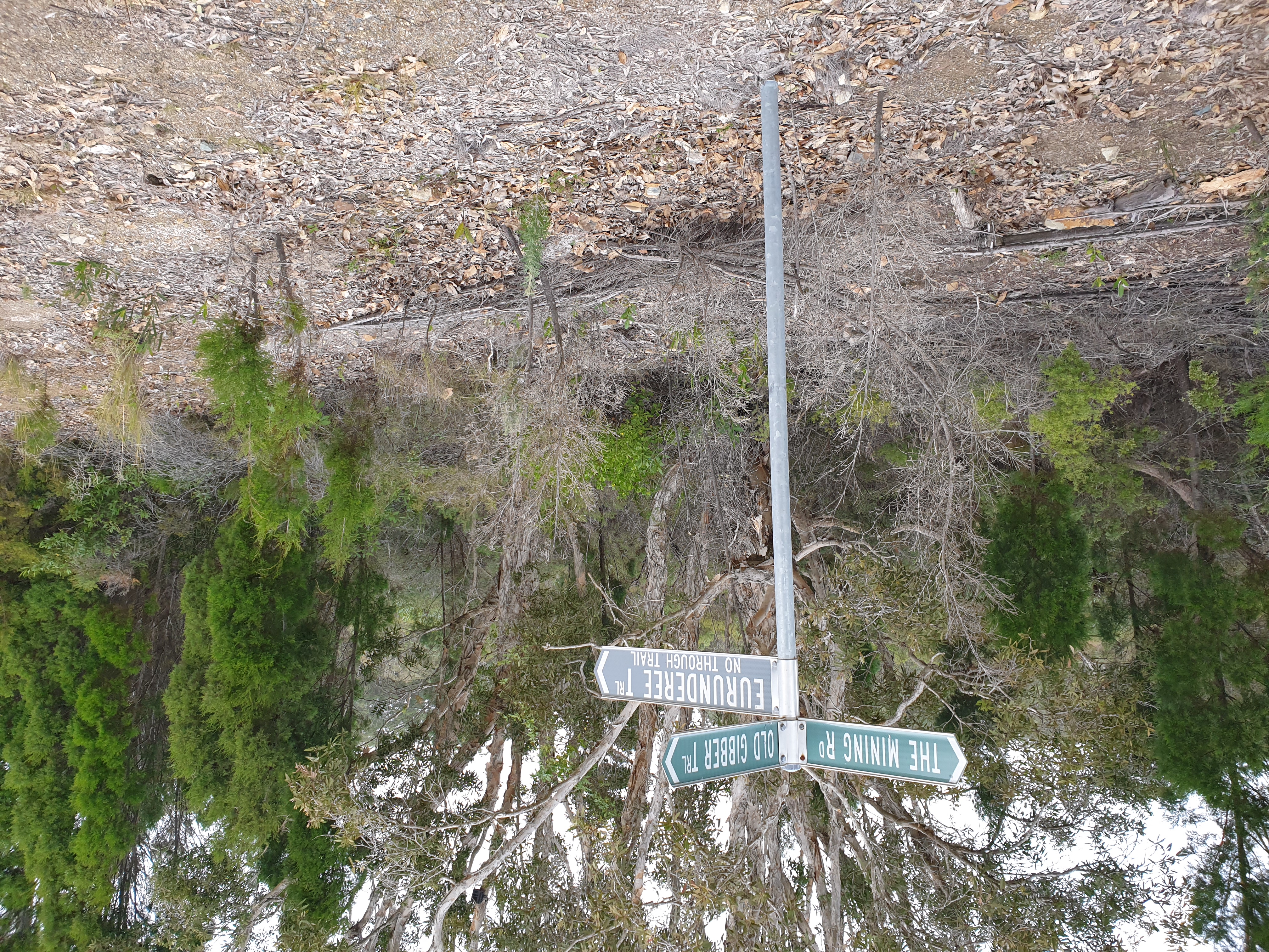 Another glorious NPWS wilderness road sign 