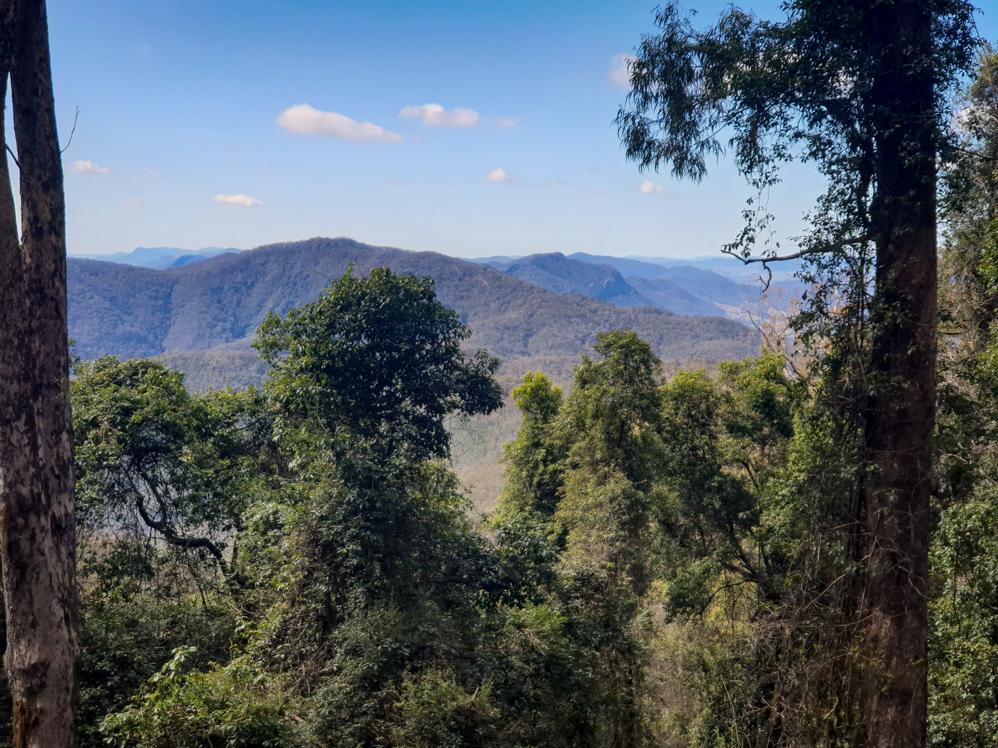 View south over Mira Creek headwaters to Woko National Park