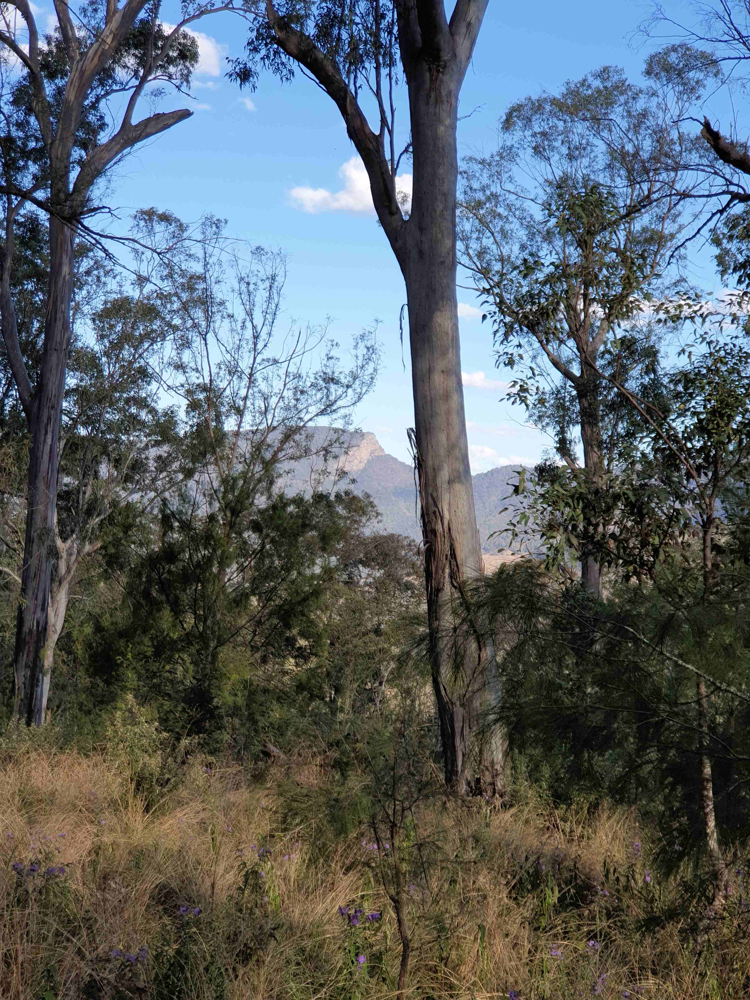 Looking south over the Barnard Valley to Monkeycott Bluff