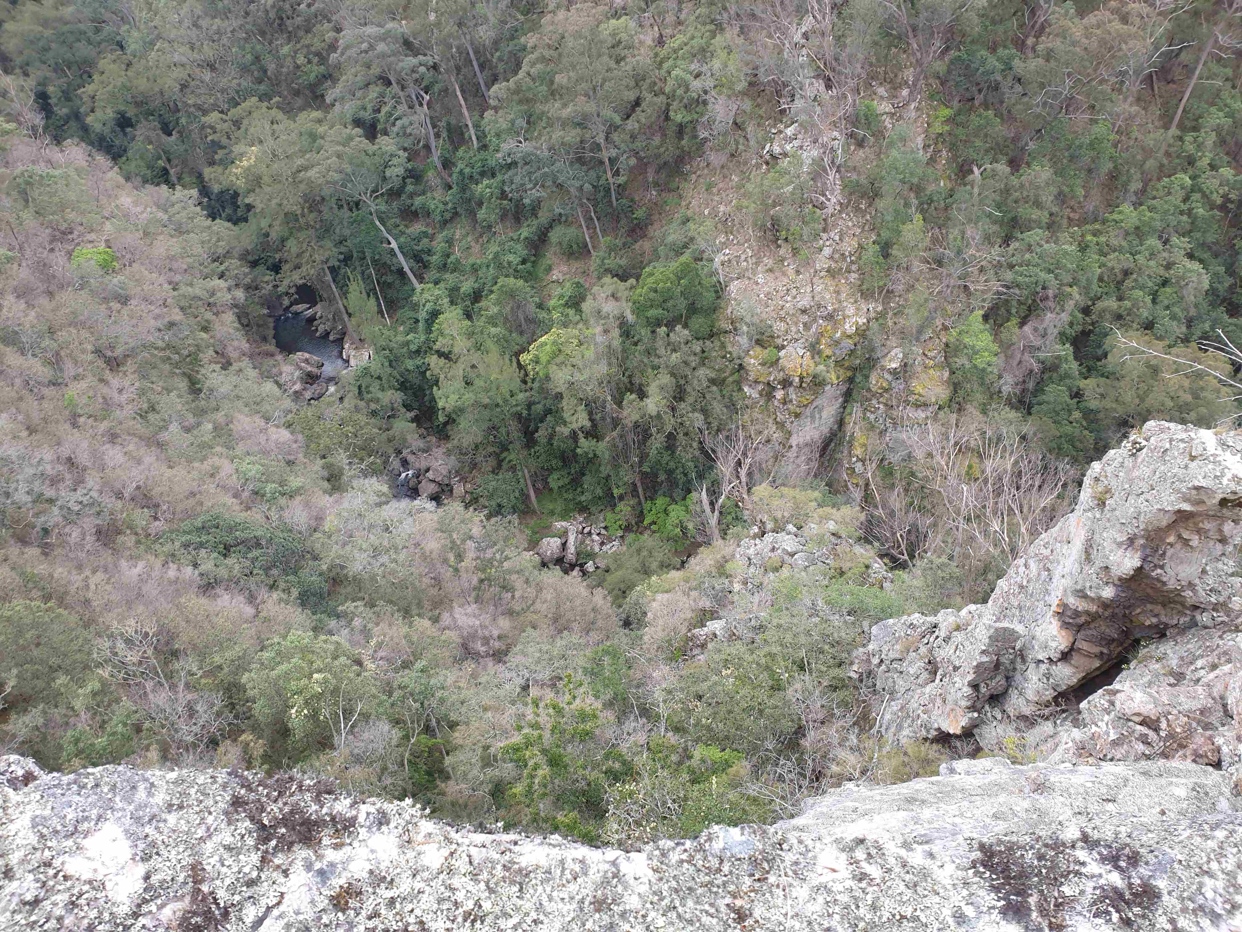 Looking into Myall Creek, view just off the descent spur