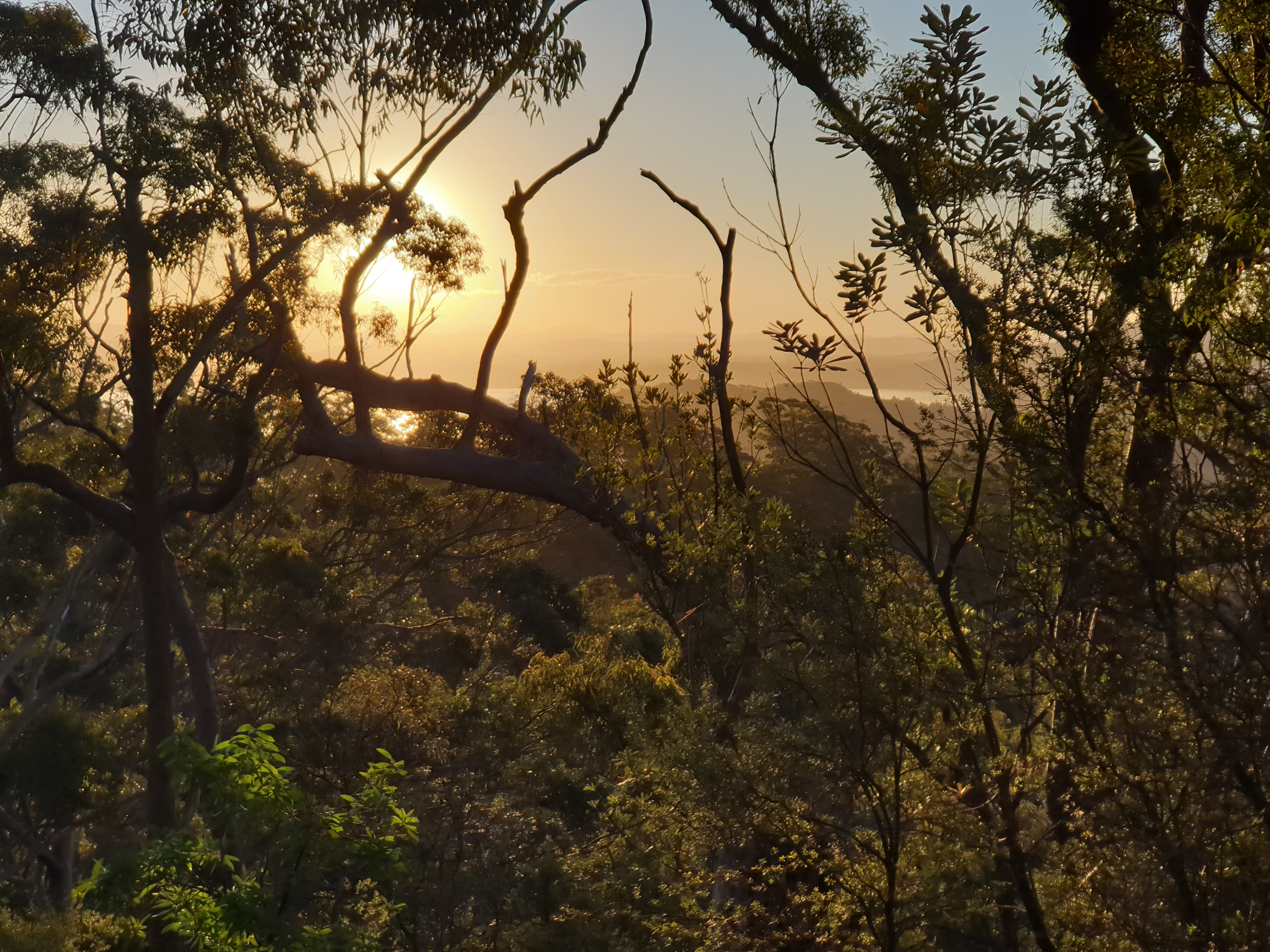 Sunset over Myall Lake from the high dunes in the Moors Wilderness