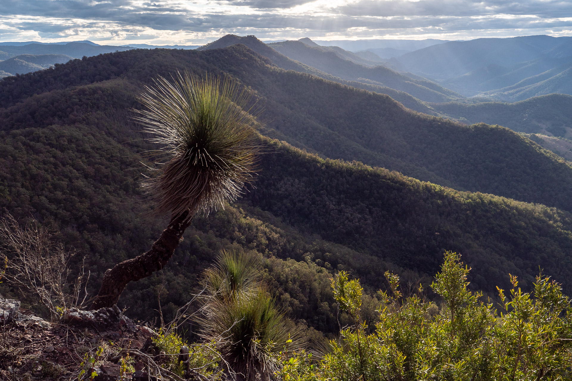 View west from Monkeycott Bluff (image G. Luscombe)