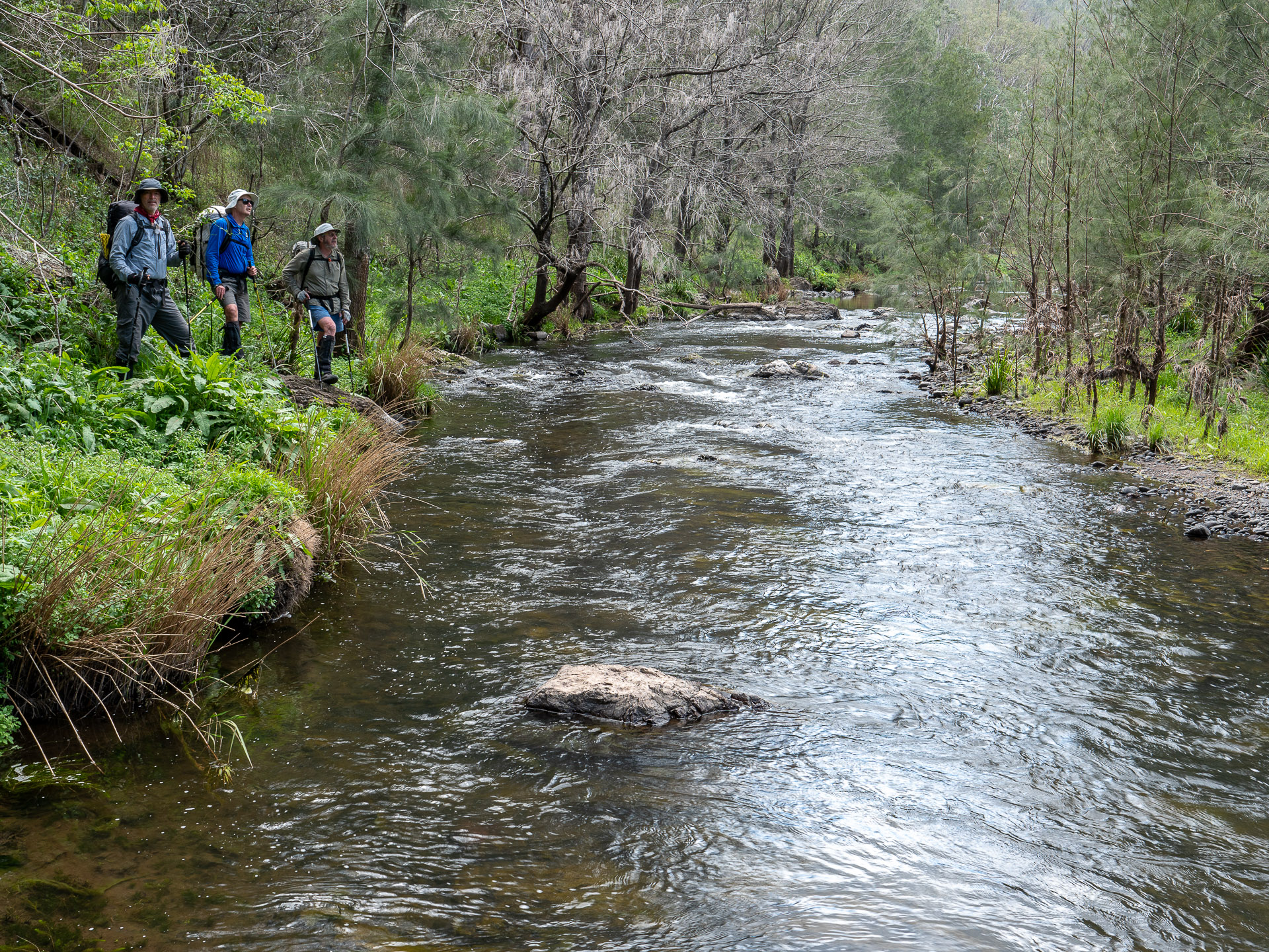 The Barnard River, a kilometre downstream of London Bridge Creek (image G. Luscombe) 