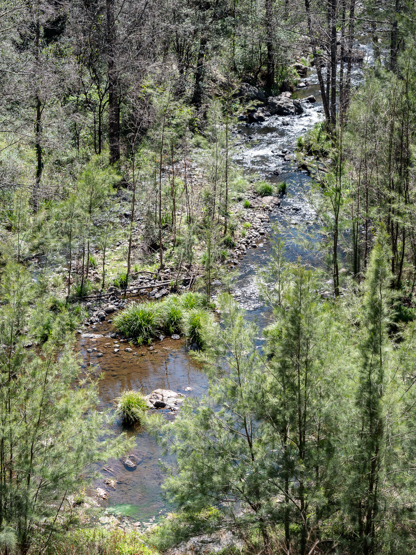 Tuggolo Creek, downstream from this point the weeds started (image G. Luscombe)