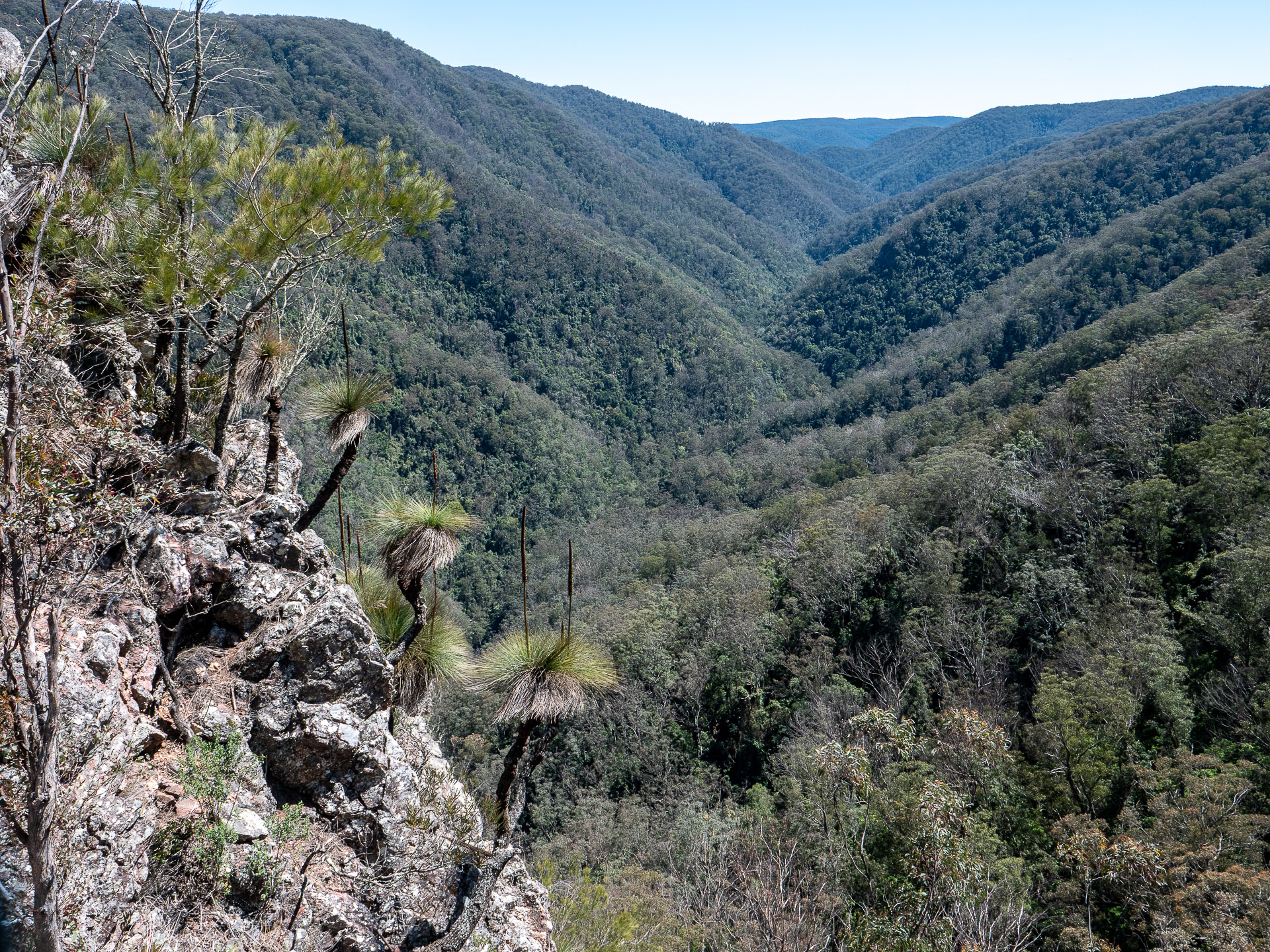 Looking back into magical Myall Creek from the ascent spur (image G. Luscombe)