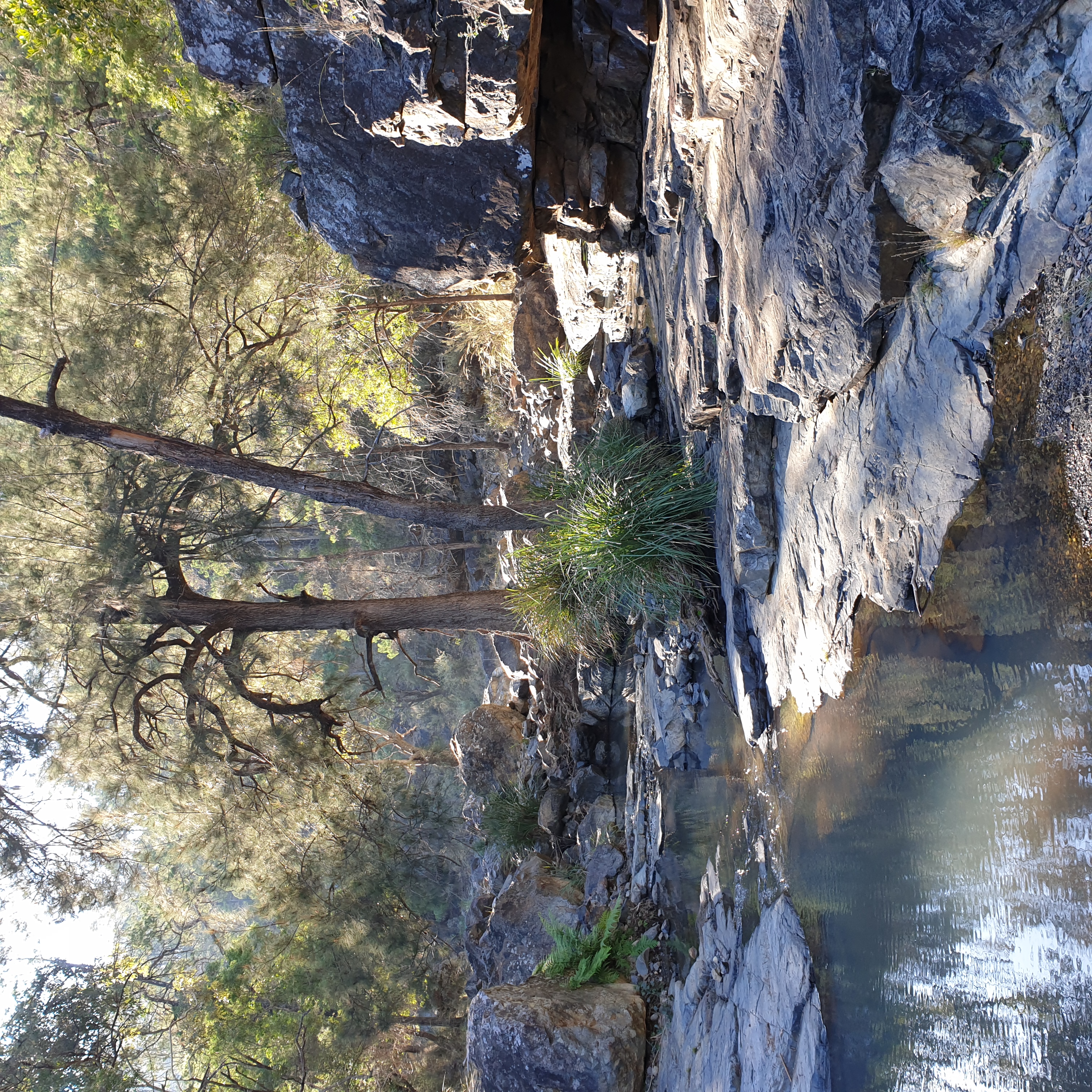 Lower section of McAllisters Creek after the first gentle scramble