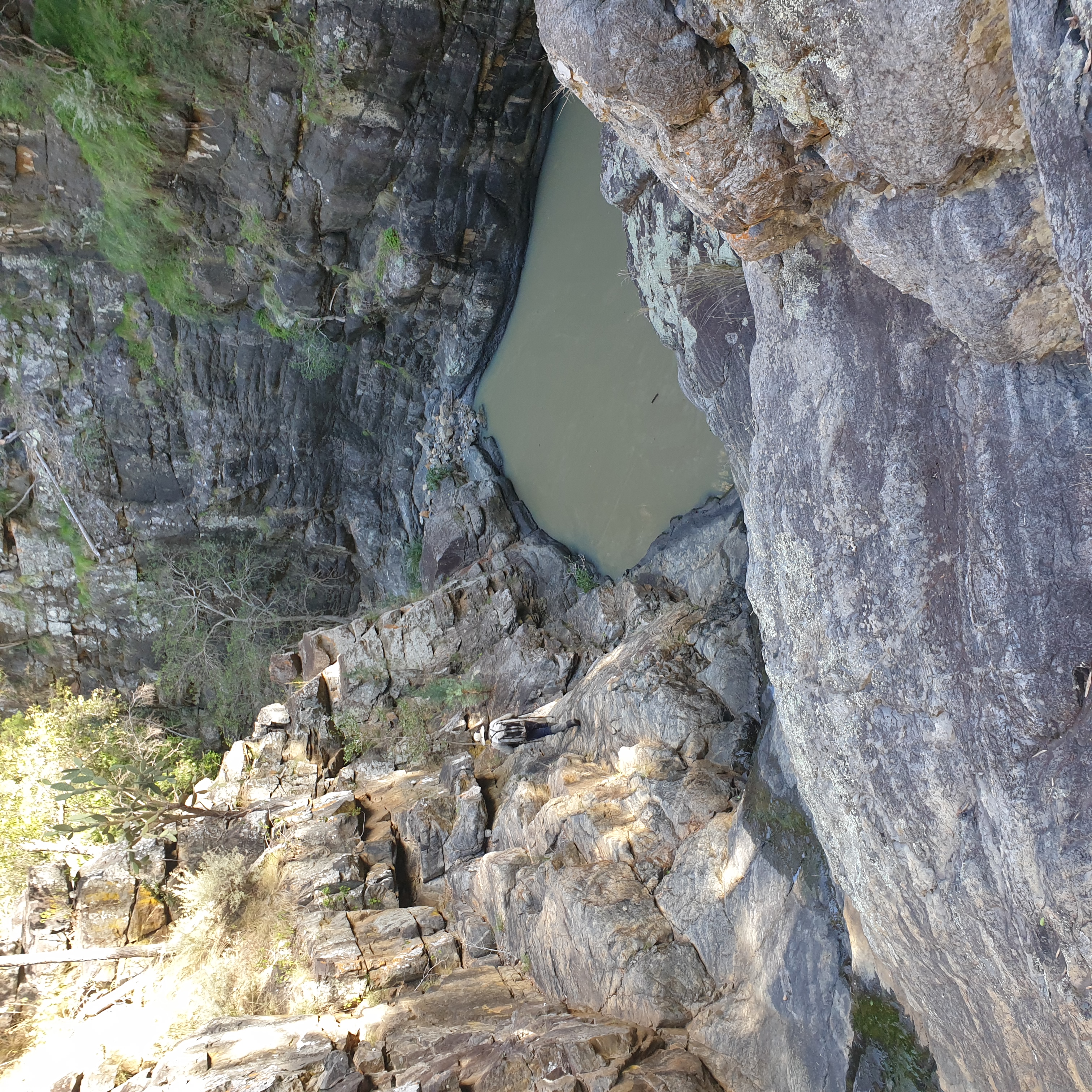 Ian descends into the gorge section of Ooline Creek