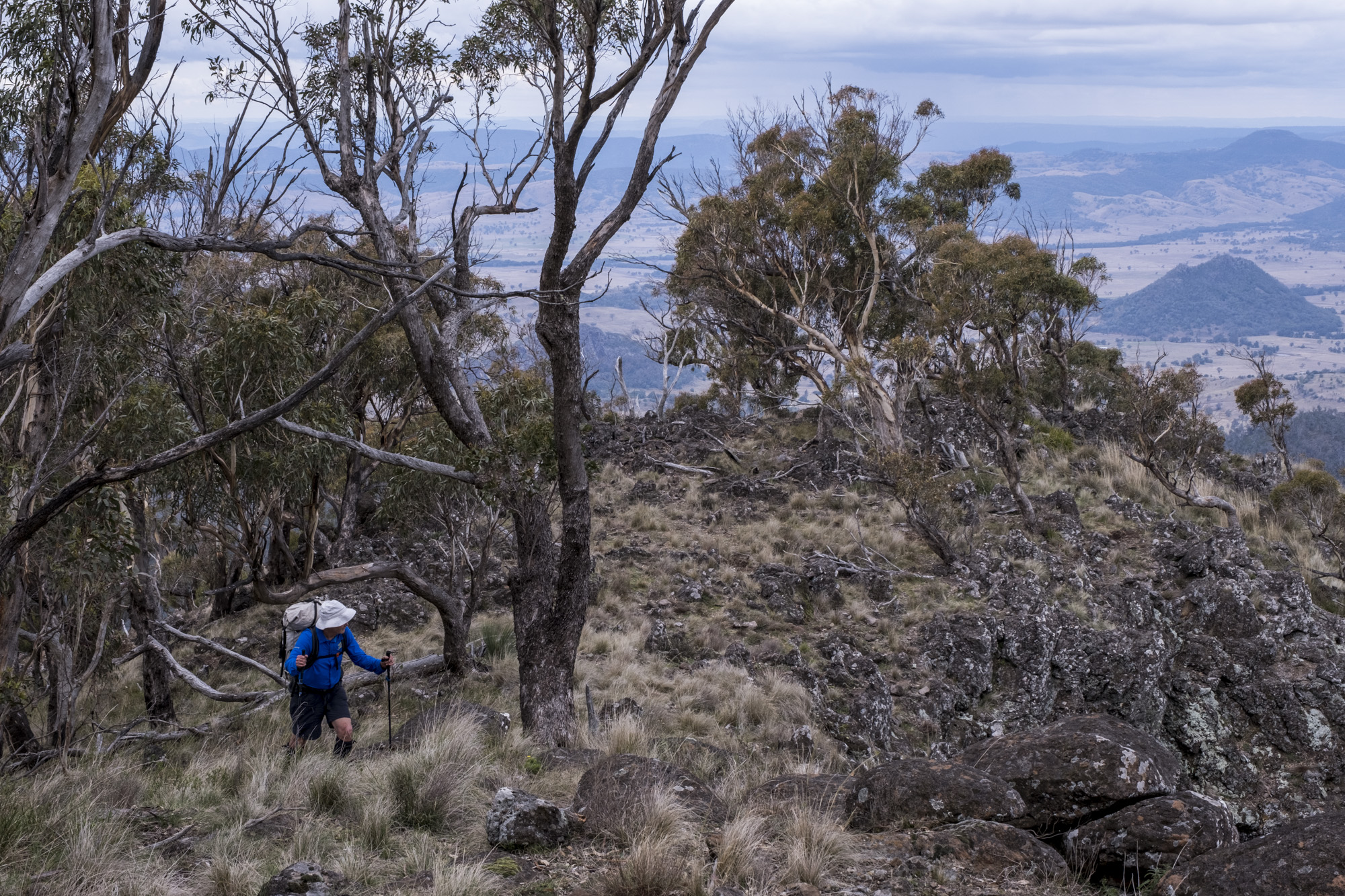 Ascending Gratti Mountain from Grattai Spring is straight forward - image Ian Brown