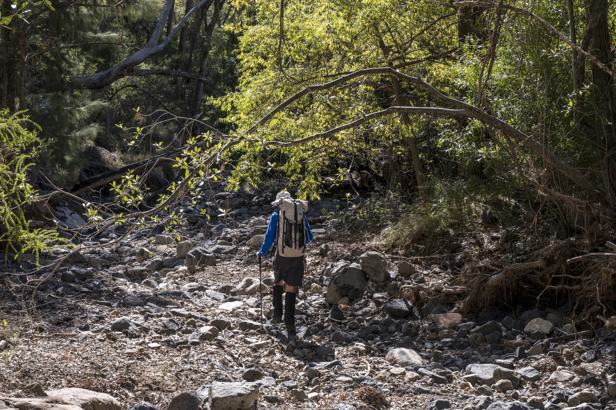 Berrygill Creek was dry - image Ian Brown