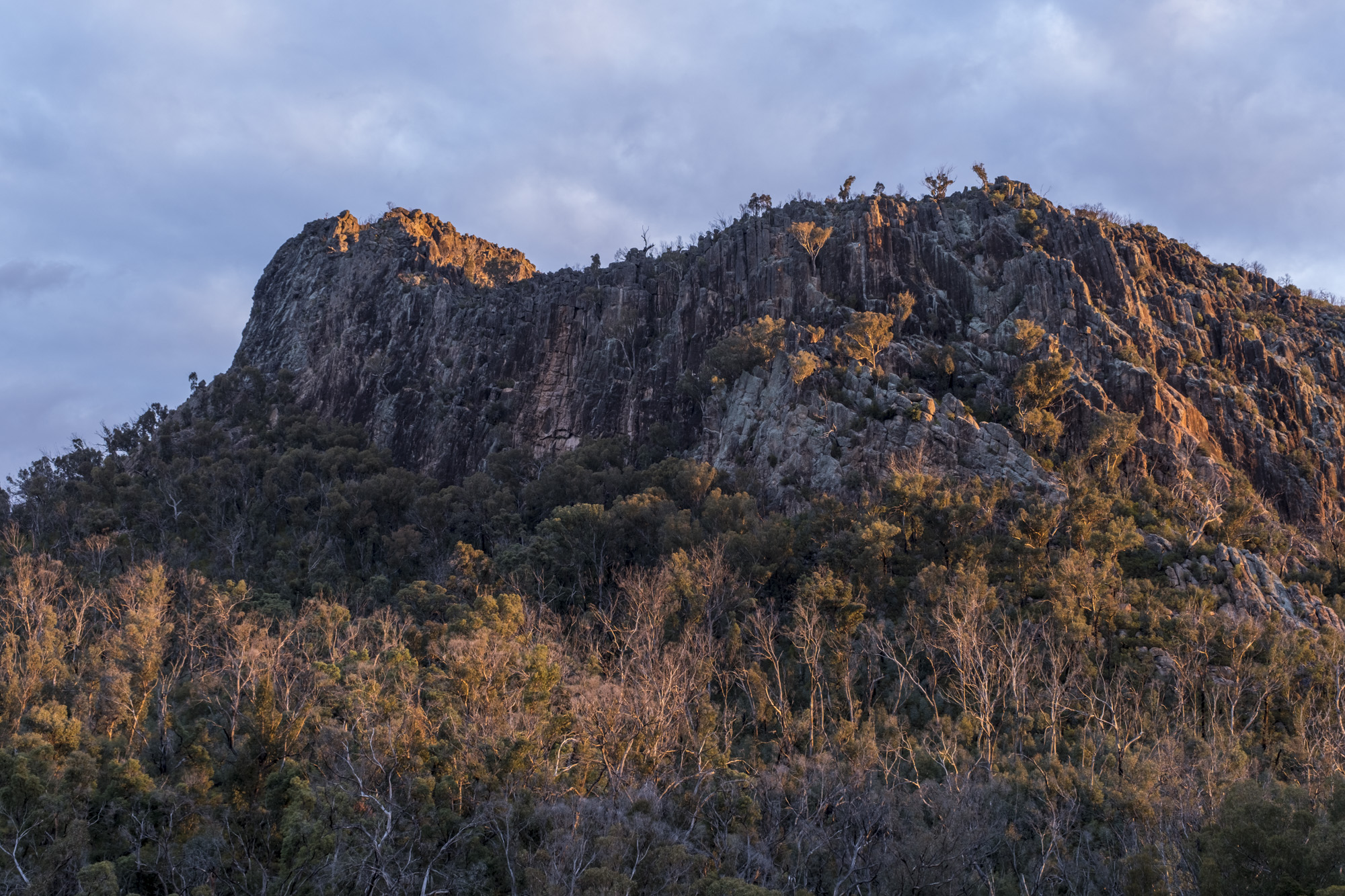 Ginns Mountain from near Grattai Spring - image Ian Brown