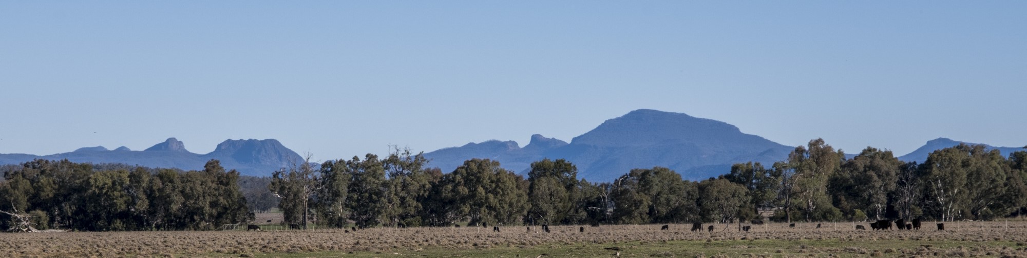 Grattai Mountain highest on right, Mount Waa on left, Mt Kaputar National Park from Allambie Road