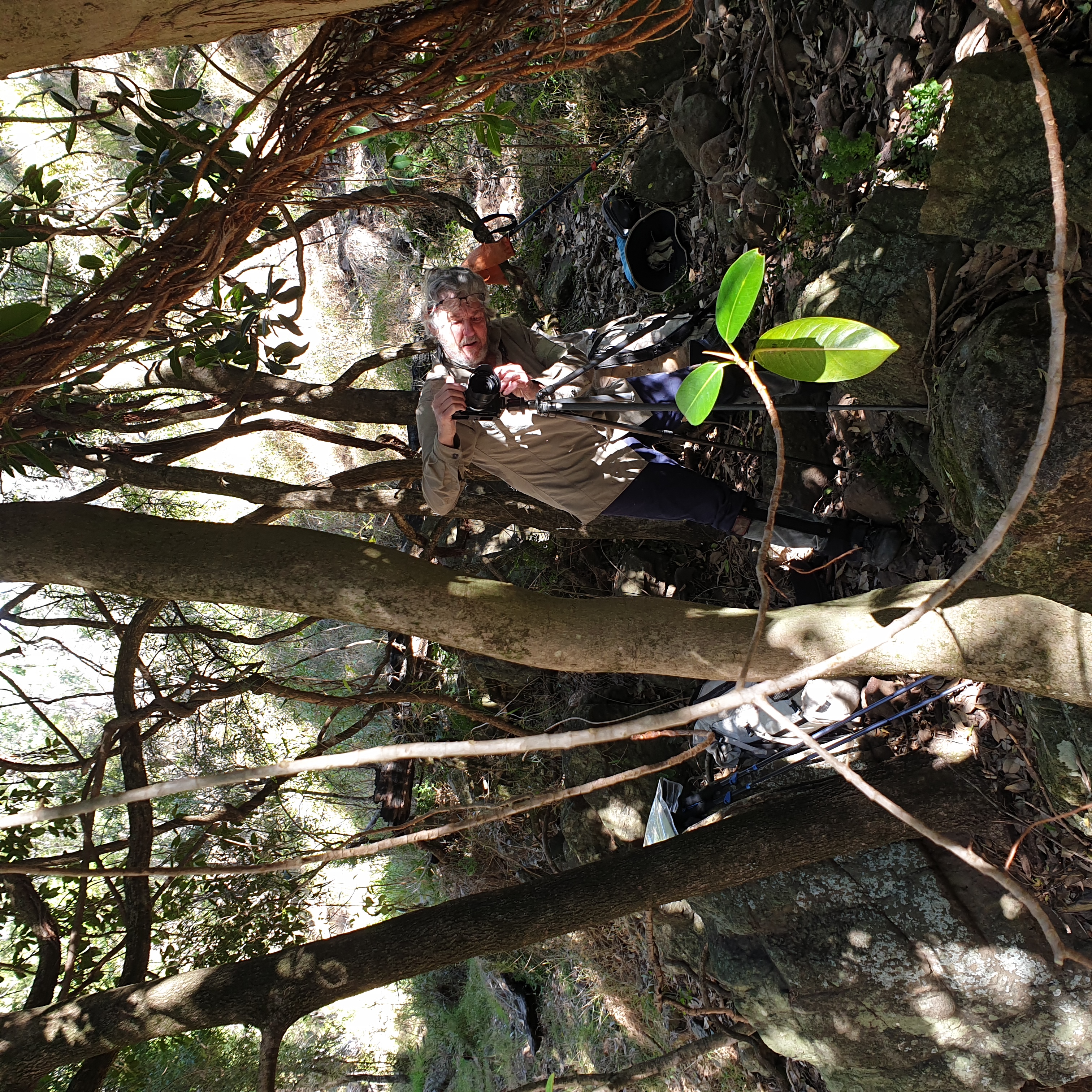 Ian sets up for a rainforest shot in Waa Gorge