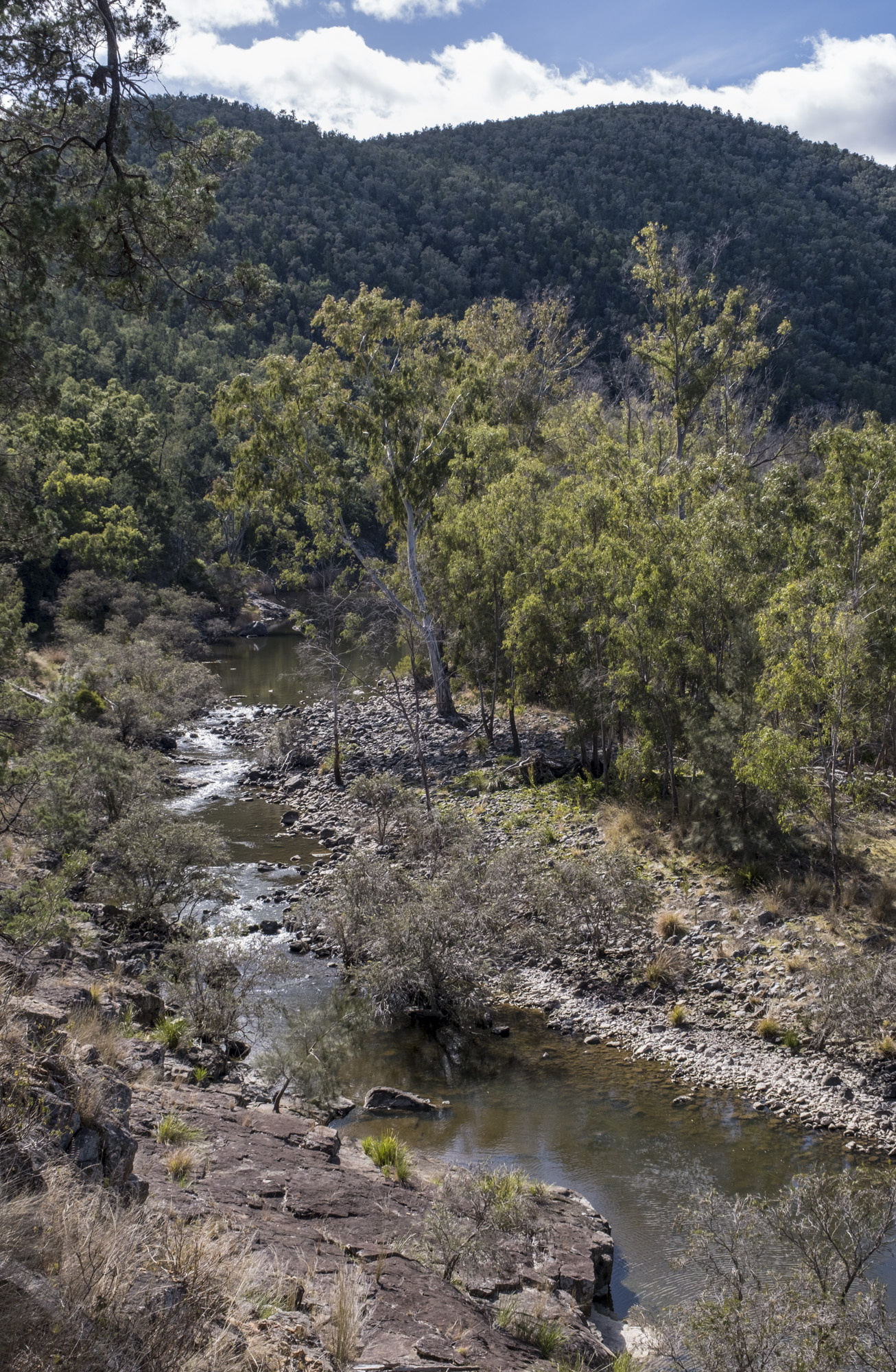 Severn River at the Ooline Creek junction - image Ian Brown