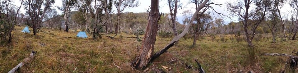 Camp by Sams Creek, Bimberi Wilderness, Namadgi National Park 