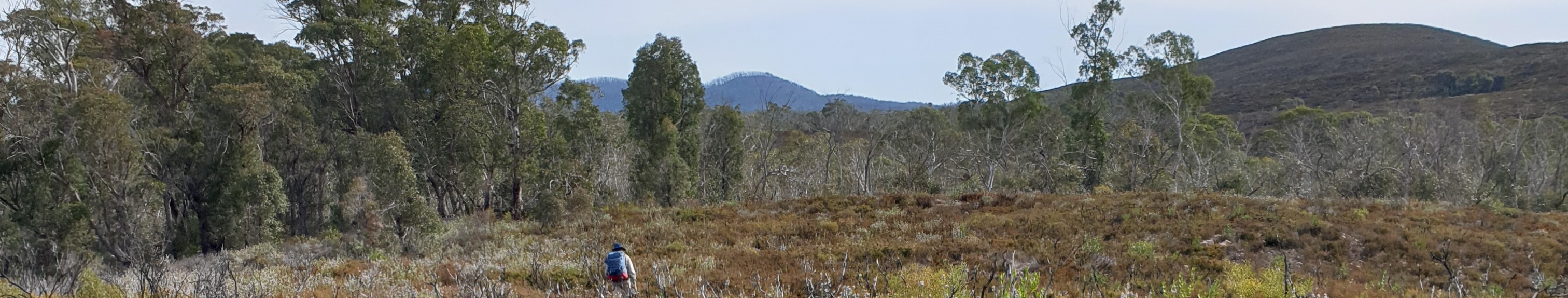 banner image Shoalhaven-Deua adventure