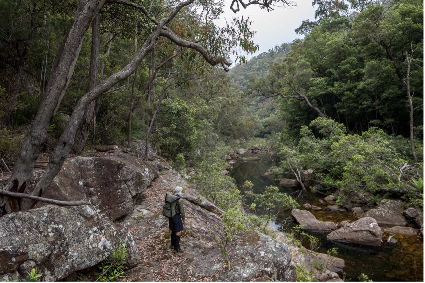 In many places sandstone benches rise above the Erskine Creek gorge (image - Ian Brown)