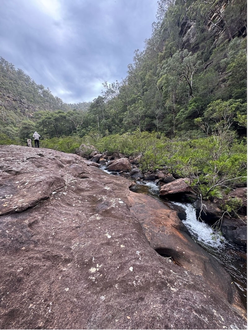 Erskine Creek should be listed as a wild river 