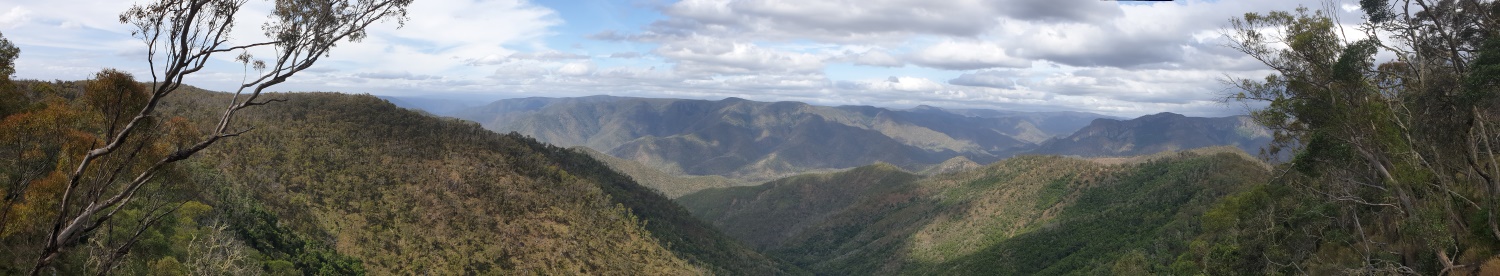 Macealy Gorges Wilderness from Budds Mare campground 